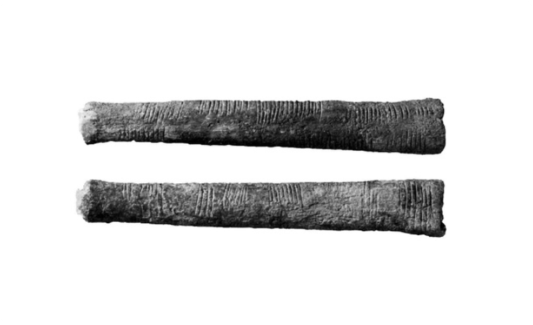 Image showing the Ishango bone