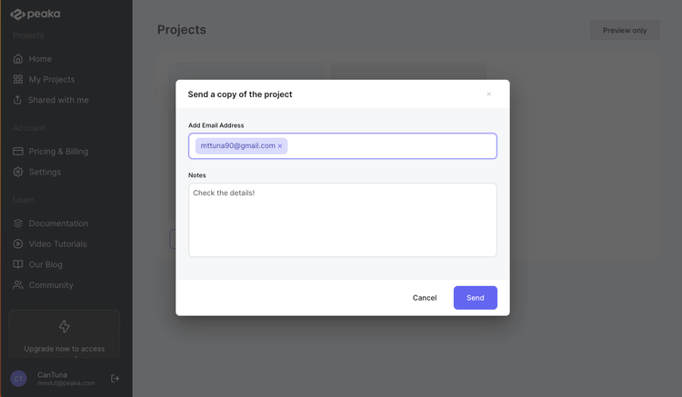 sending a copy of project modal view