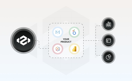 Why SaaS Needs Embedded BI for Customer-Facing Analytics