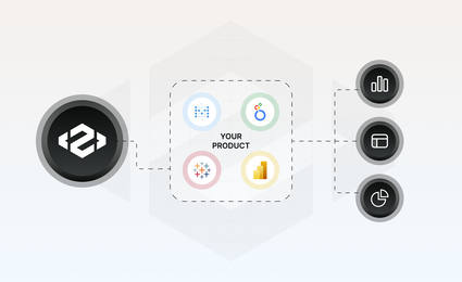 Why SaaS Needs Embedded BI for Customer-Facing Analytics