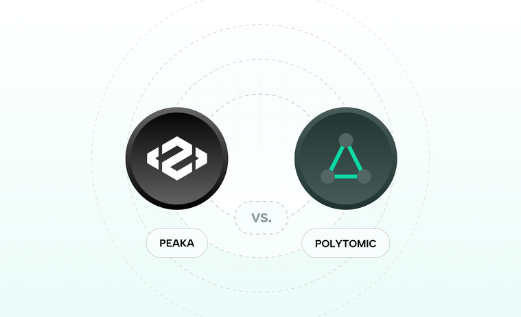 Polytomic vs Peaka: Which is Best for Embedded Analytics?
